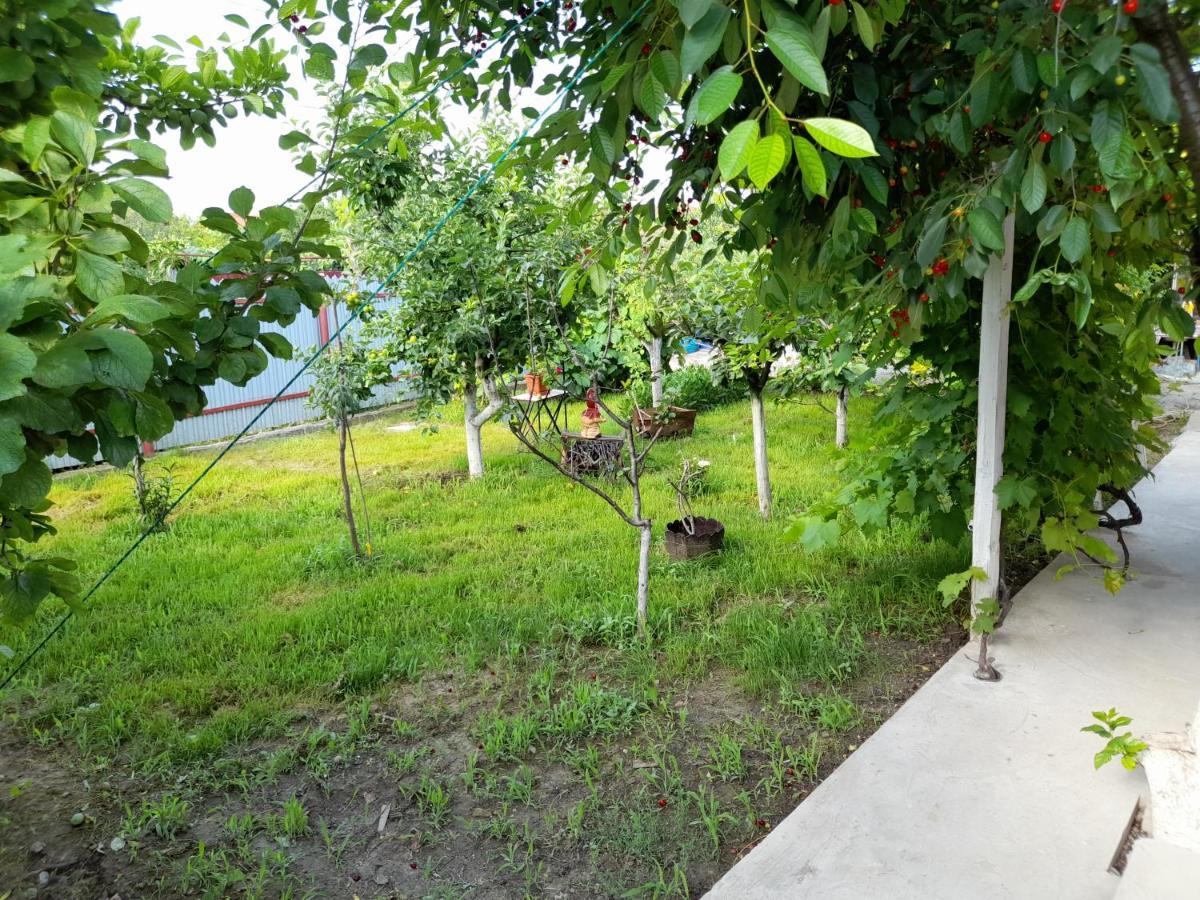 Casa Elena Guest House Corbu  Exterior photo