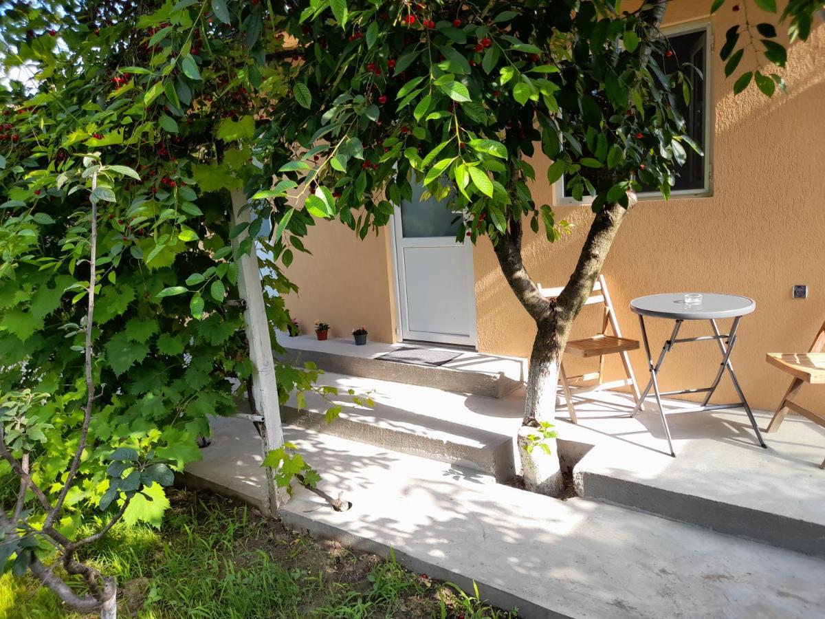 Casa Elena Guest House Corbu  Exterior photo